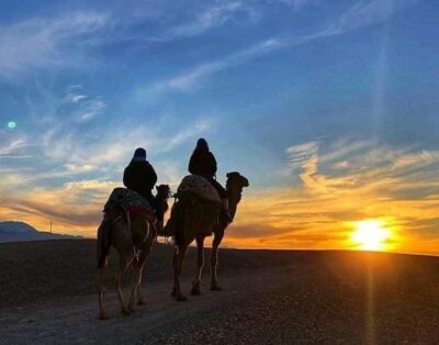 Chameau Marrakech – Balade à dos de chameau à Agafay